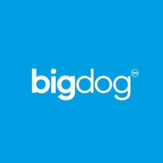 Big Dog Agency Ltd profile