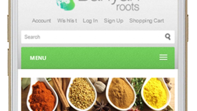 Banyan Roots by Master Equation Technologies
