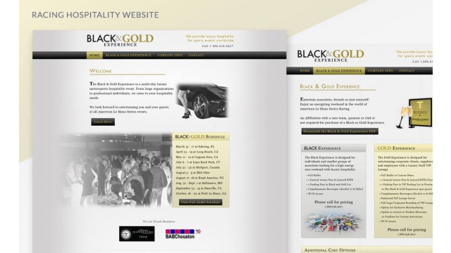 BLACK &amp; GOLD EXPERIENCE by Snelling Web Development