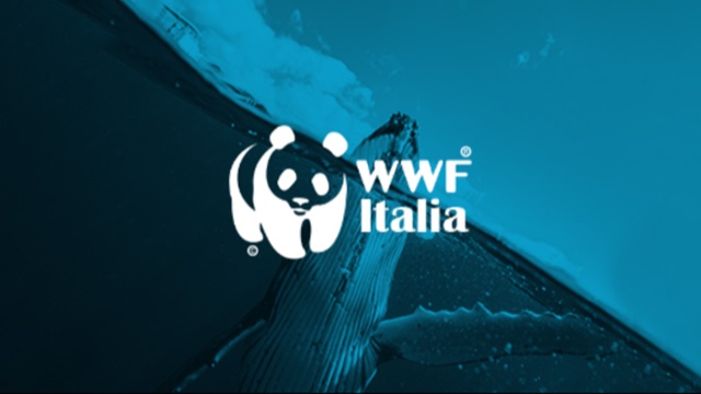 WWF Italia by Dunp
