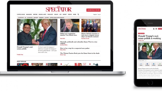 THE SPECTATOR by Creode