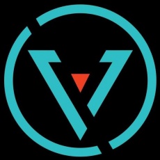 Varya Vega Info Services Pvt Ltd profile
