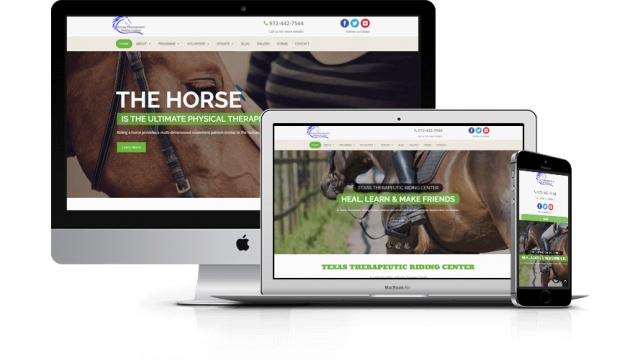 Texas Therapeutic Riding Center by Stagetek Web Service Agency