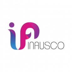 INAUSCO Digital profile