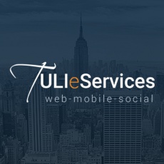 TULI eServices Inc profile