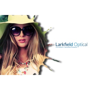 Larkfield Optical by Immersive Infotech