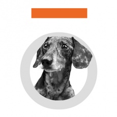 Toth Marketing profile