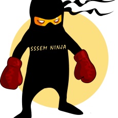 sssem Ninja profile