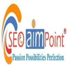 SEO AIM POINT Web Solution Private Limited profile