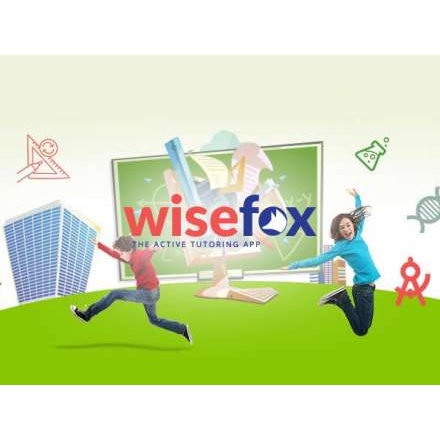 Wisefox Campaign by Web Choice UK
