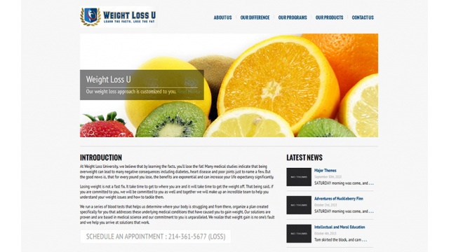 Weight Loss U Campaign by Zunch Communications