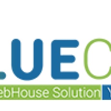Bluecode Webhouse Solution Pvt Ltd. profile