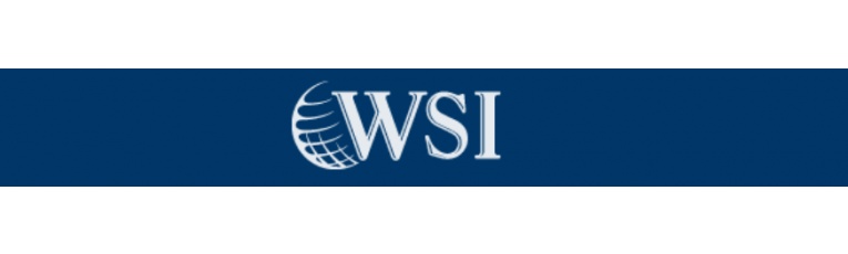 WSI Impact Web Solutions cover picture