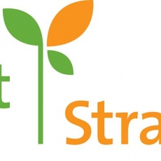 Sprout Strategies profile
