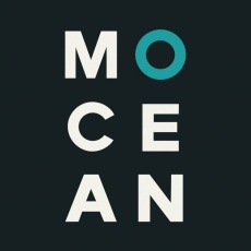 Mocean profile