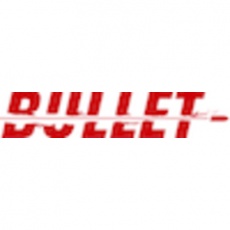 Bullet Consulting profile