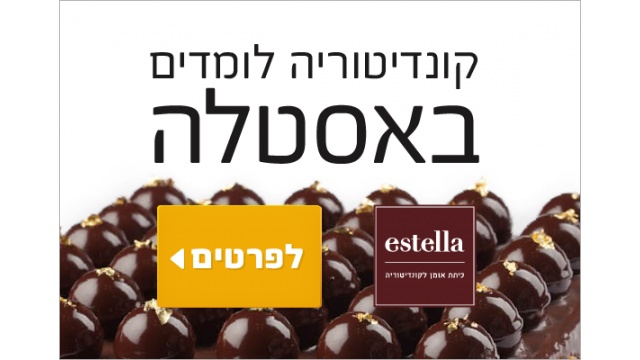 Estella by Daze - B2B Digital Marketing