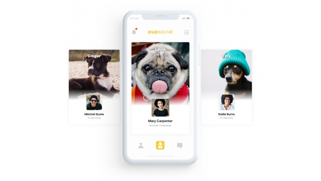 PupSocial by MEAT Agency