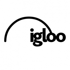 Igloo Vision profile