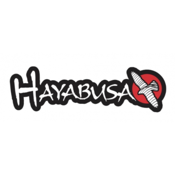 Hayabusa Case Study by Channel Key LLC
