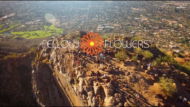 FELLOW FLOWERS by Epic Productions