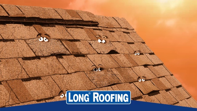 LONG ROOFING by ESB Advertising