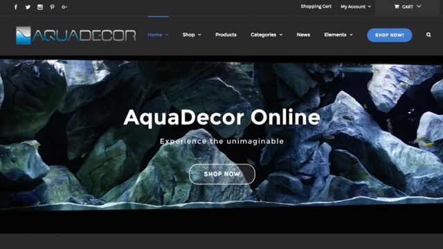 Aqua Decor by Exposure Social