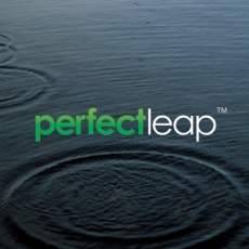 Perfect Leap Technology Inc. profile