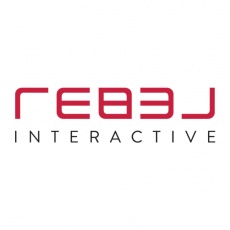 Rebel Interactive Group profile