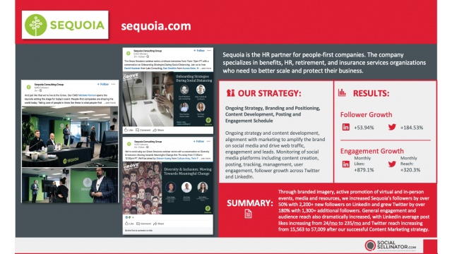 Sequoia Consulting - Digital Marketing Campaign by SocialSellinator