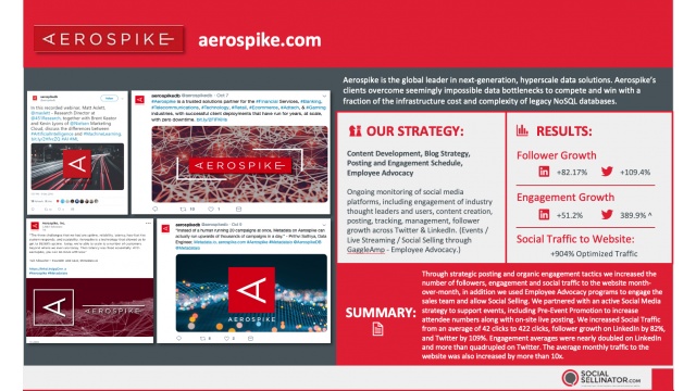 Aerospike - Digital Marketing and Blog Writing Campaign by SocialSellinator