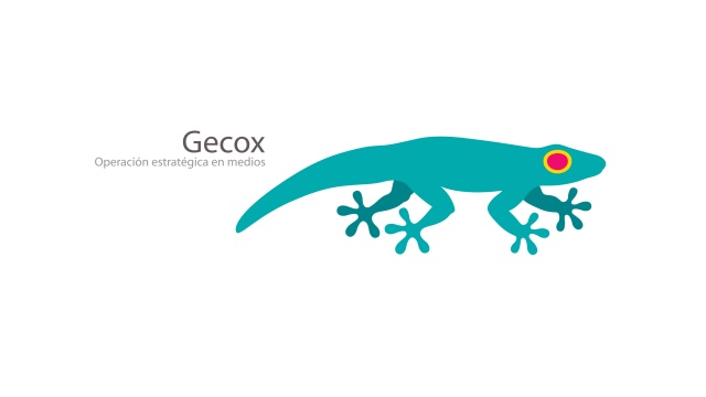 Gecox by Sol Consultores
