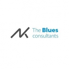 The Blues Consultants profile