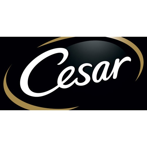 CESAR by Team Creatif USA