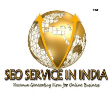 SEO Service in India profile