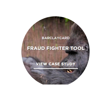 FRAUD FIGHTER TOOL by OLIVER