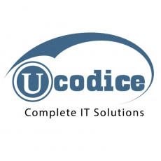 Ucodice Technologies Private Limited profile