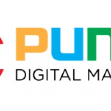 Punch Digital Marketing profile
