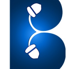 Branding Nuts profile