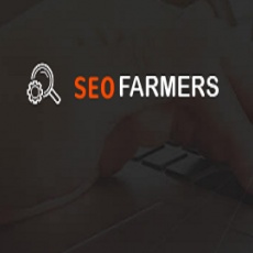 SEO Farmers - Best SEO Expert in Chandigarh profile