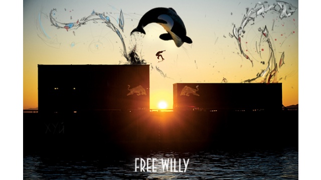 Free Willy by Design24