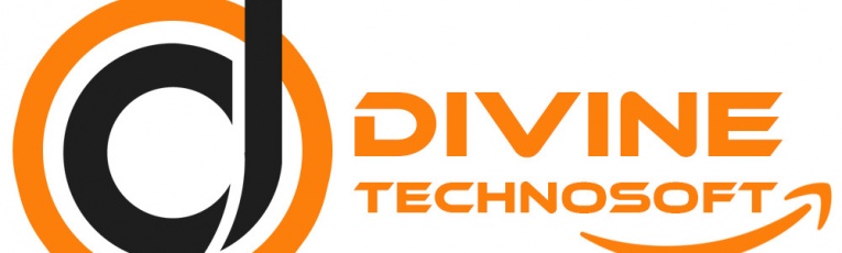 Divine Technosoft cover picture