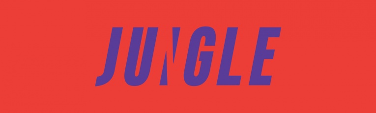 Jungle Srl cover picture