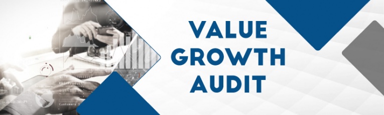 Value Growth Audit cover picture