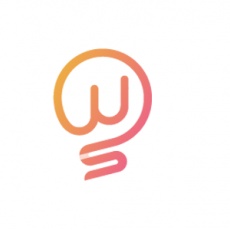 W2S Solutions profile