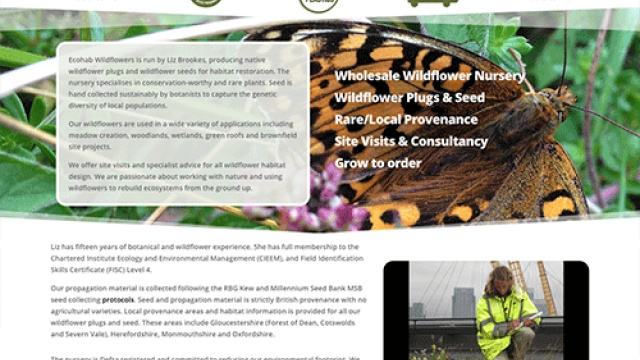 Ecohab Wildflowers by IP Websites