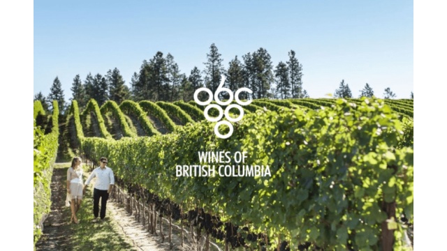 Wine Growers British Columbia by 1UP Digital Marketing