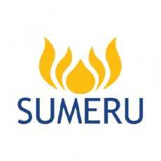 Sumeru Inc profile