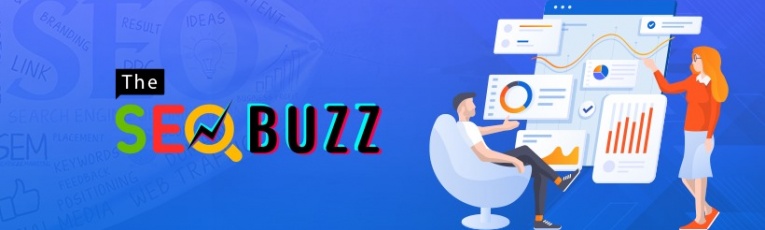 The Seo Buzz cover picture