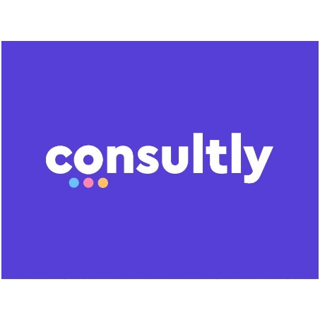Consultly by Citrus Animations